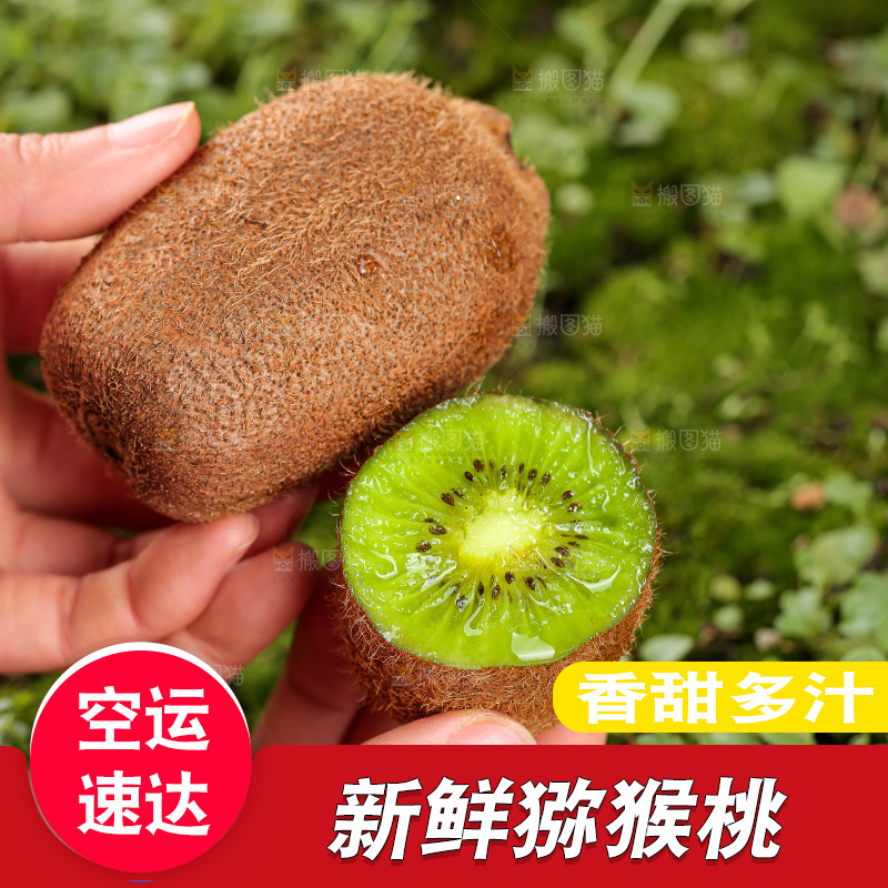 深底上的猕猴桃