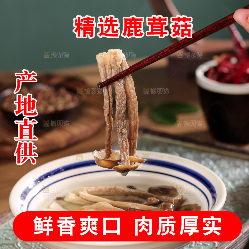 深底上的鹿茸菌