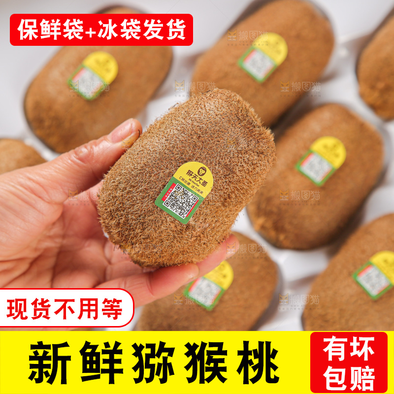 浅底上的猕猴桃
