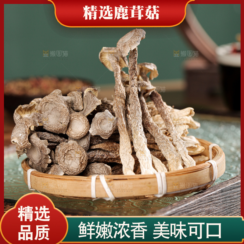 深底上的鹿茸菌