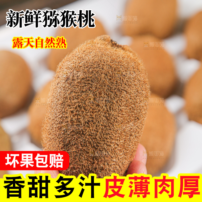 浅底上的猕猴桃