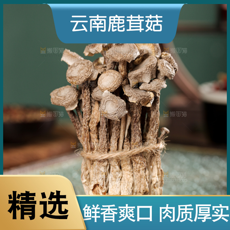 深底上的鹿茸菌