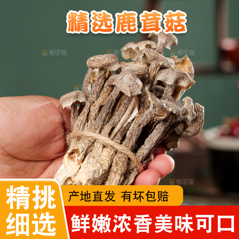 深底上的鹿茸菌