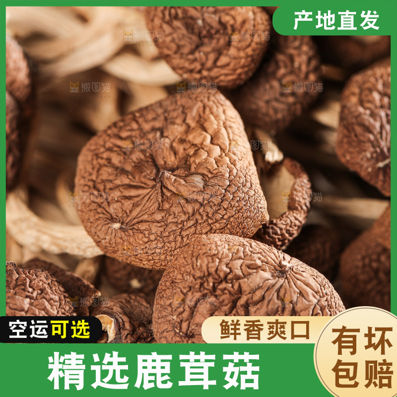 深底上的鹿茸菌