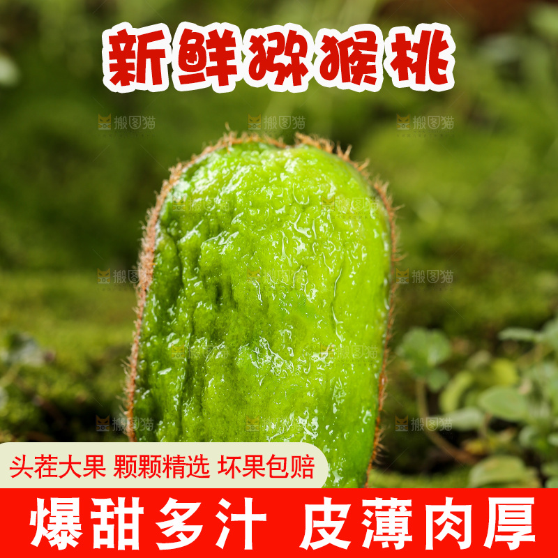 深底上的猕猴桃