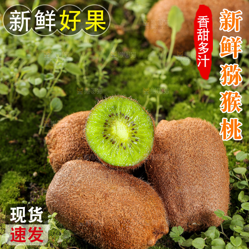 深底上的猕猴桃