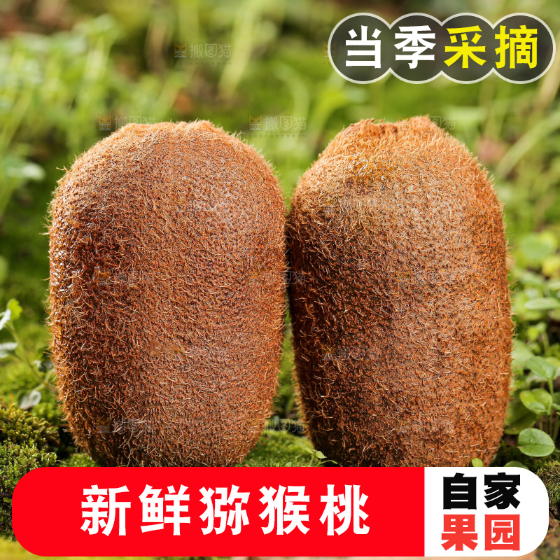 深底上的猕猴桃