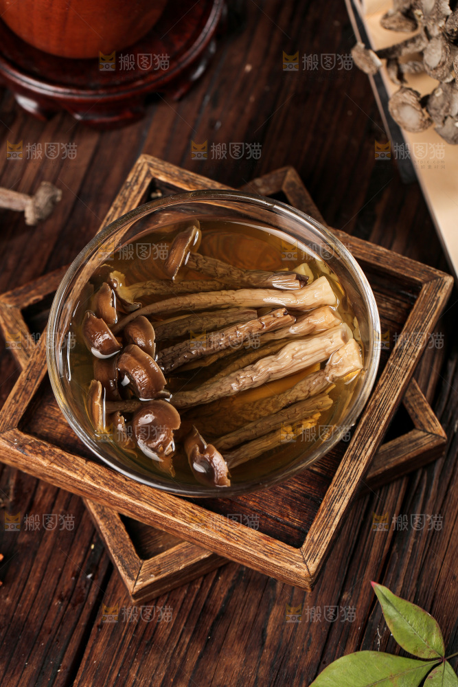 深底上的鹿茸菇
