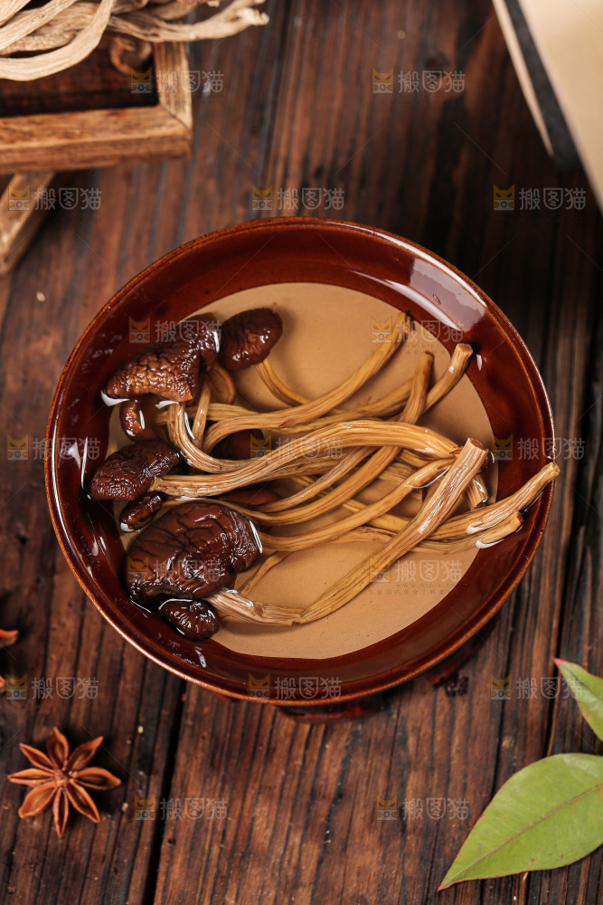茶树菇