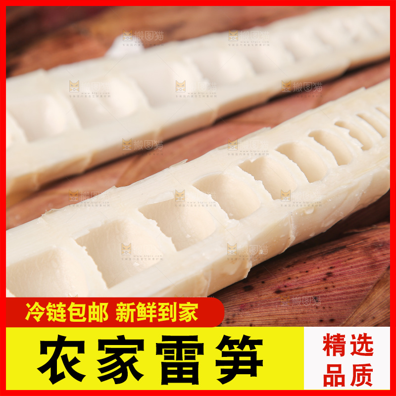 深底的雷竹笋