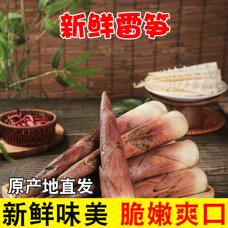 深底的雷竹笋