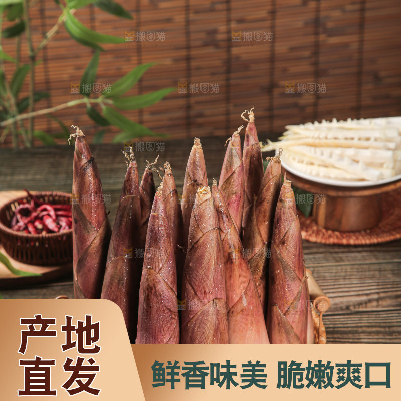 深底的雷竹笋