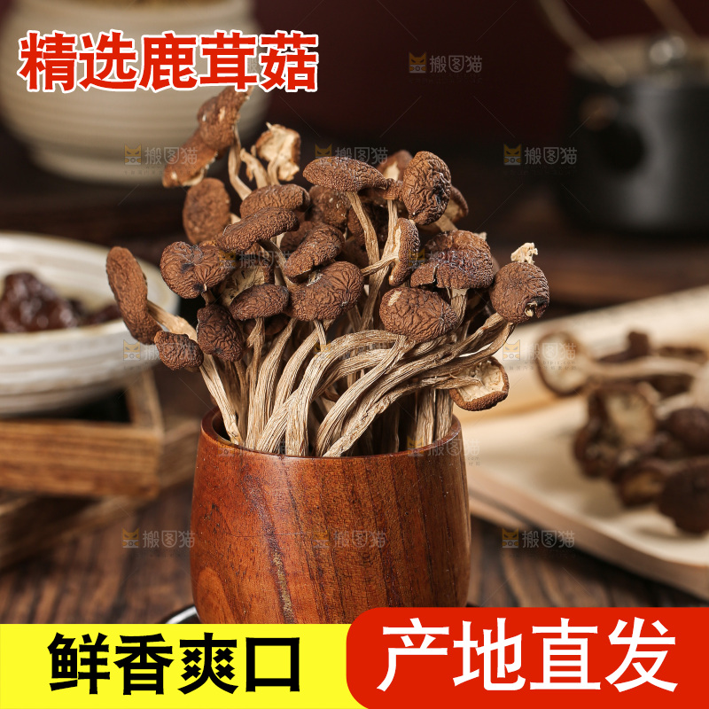 深底上的鹿茸菇
