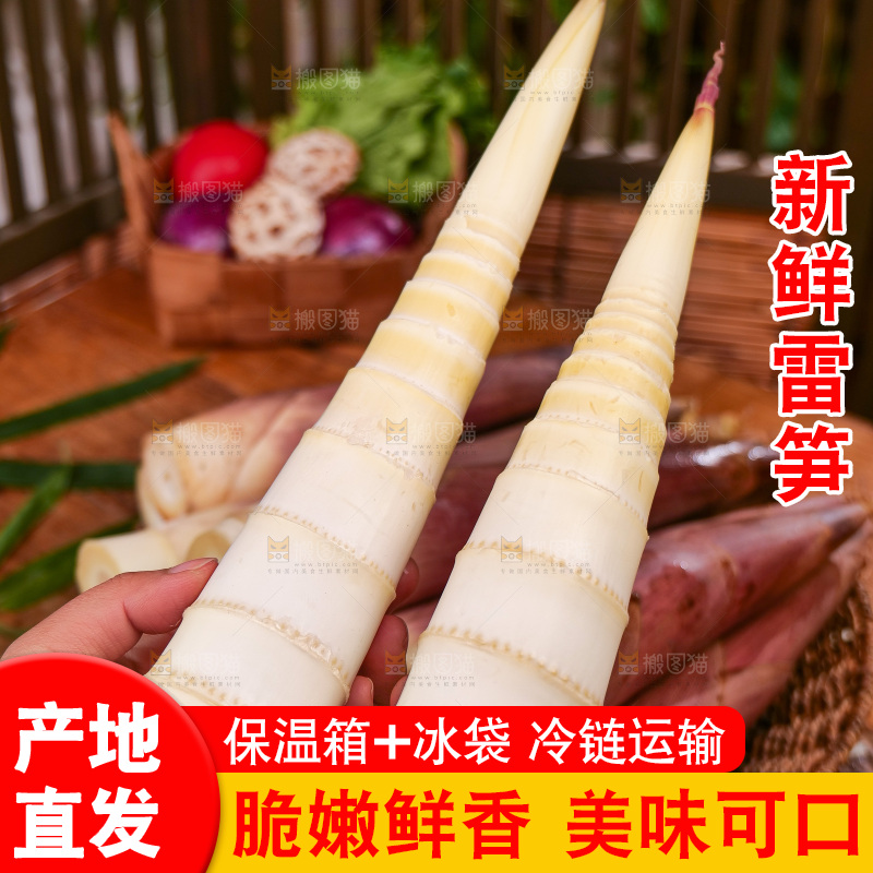 深底上的雷笋