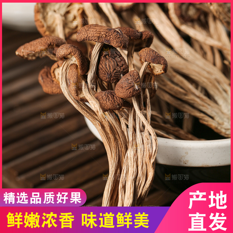 深底上的鹿茸菇