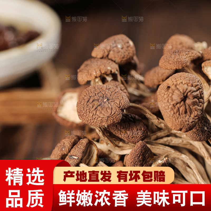 深底上的鹿茸菇