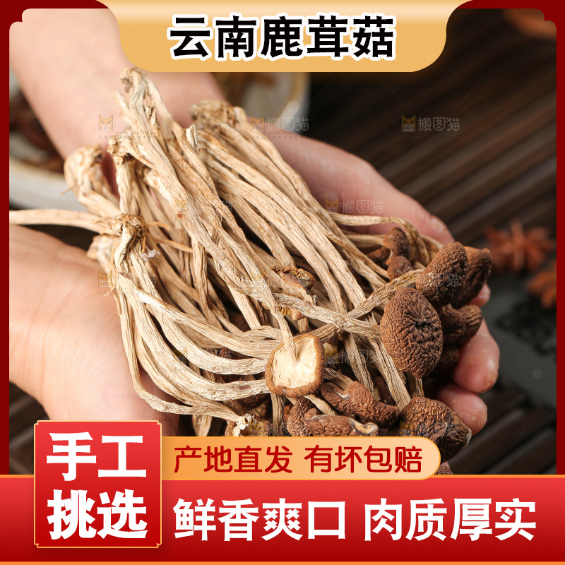 深底上的鹿茸菇