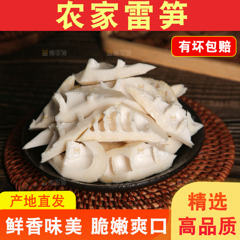 深底的雷竹笋