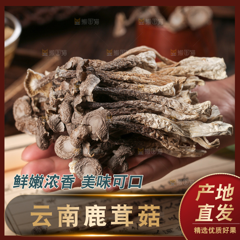 深底上的鹿茸菇