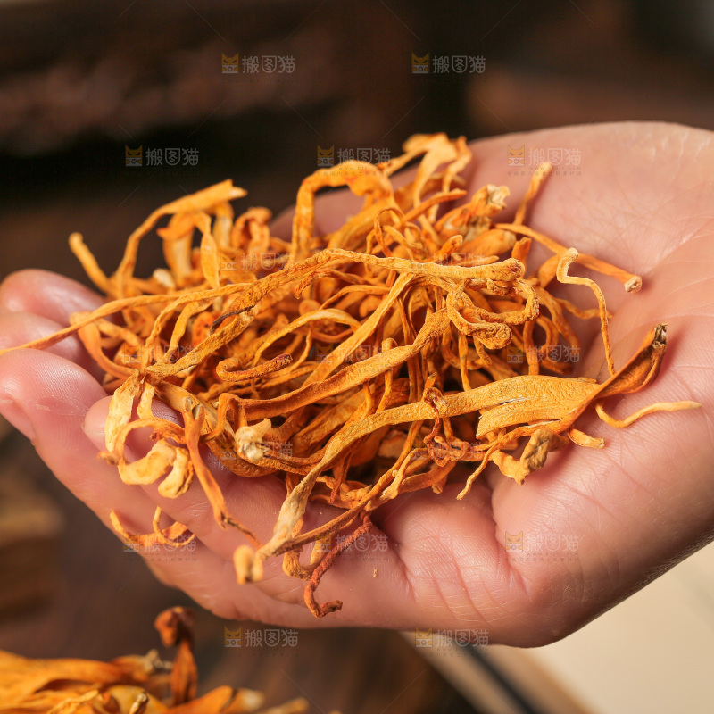 深底上的虫草花