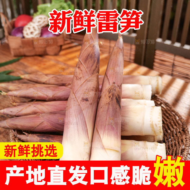 深底上的雷笋