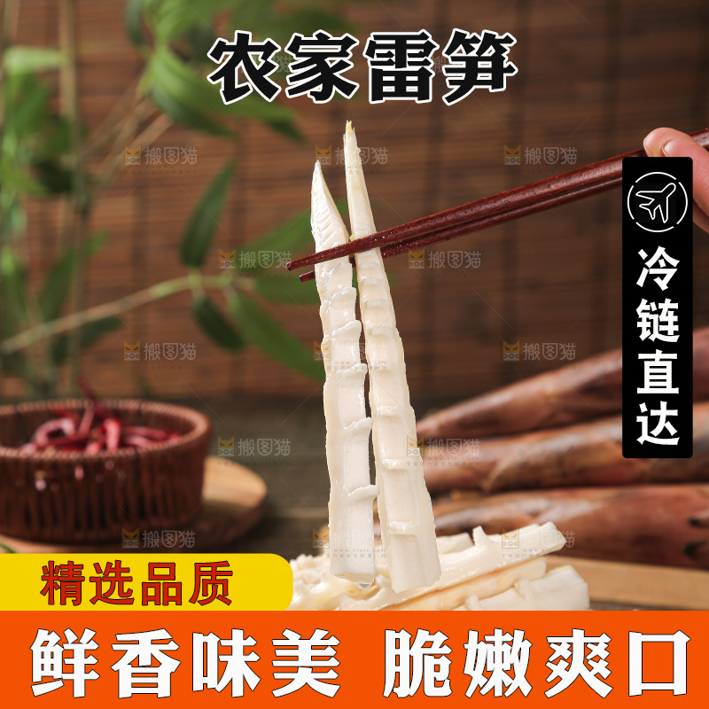 深底的雷竹笋