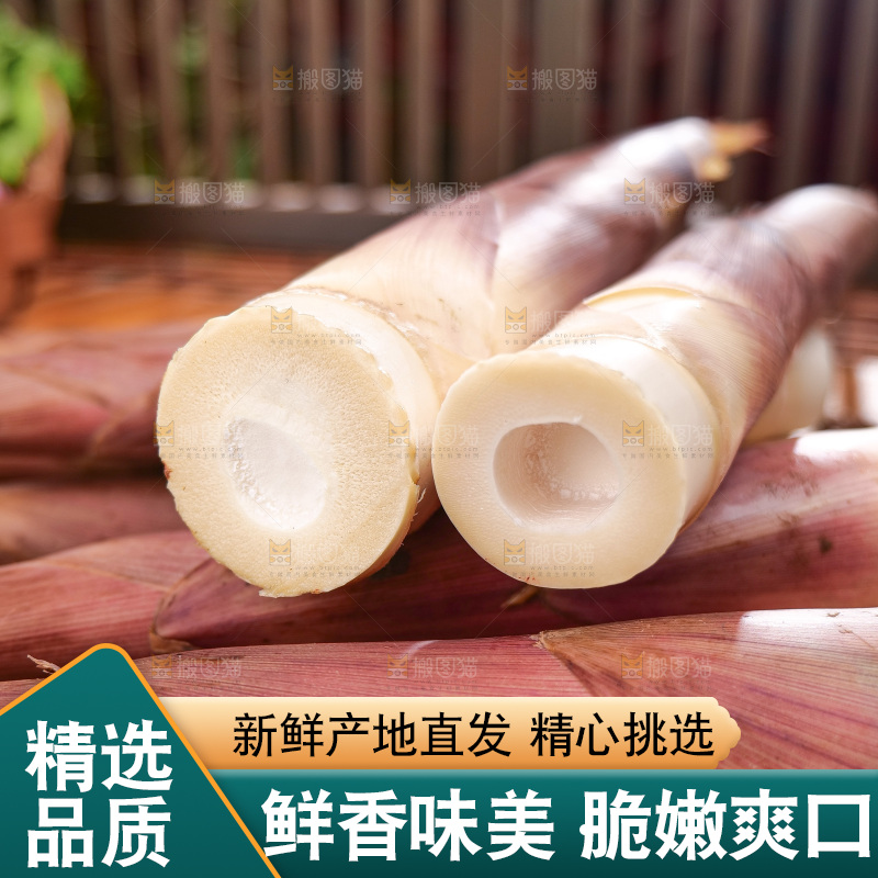 深底上的雷笋