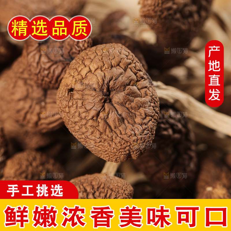 深底上的鹿茸菇