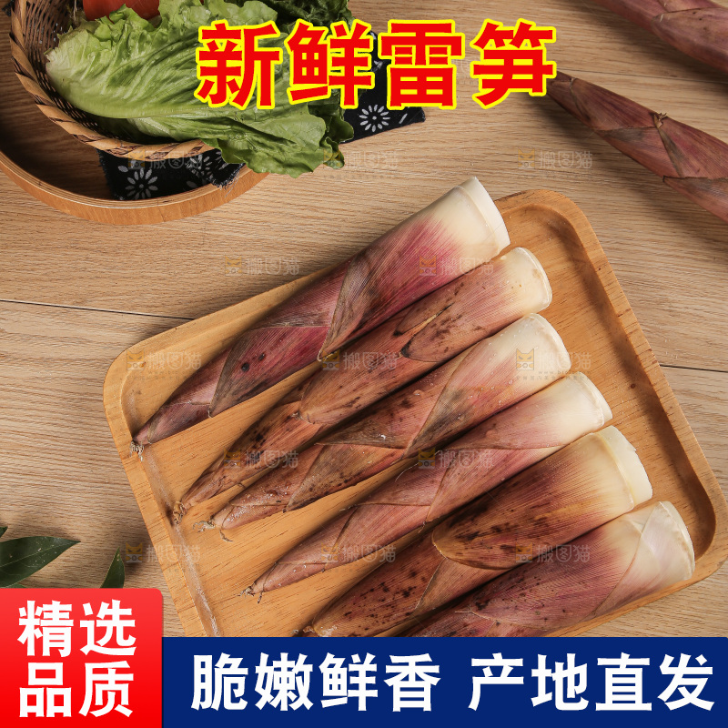 深底的雷竹笋