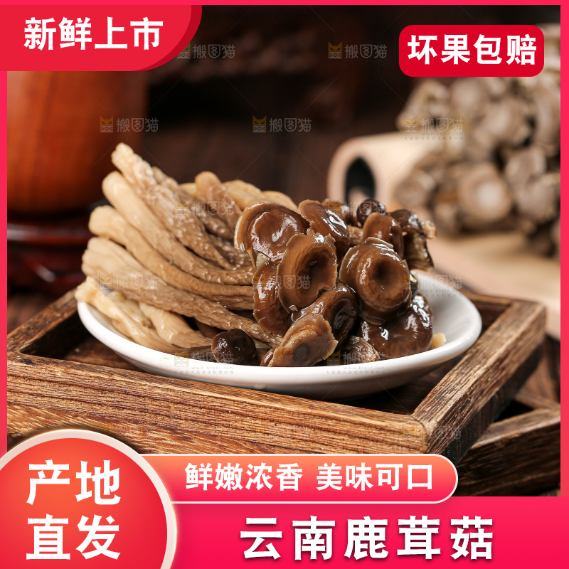 深底上的鹿茸菇