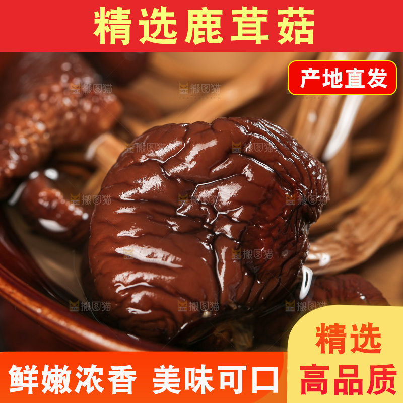 深底上的鹿茸菇