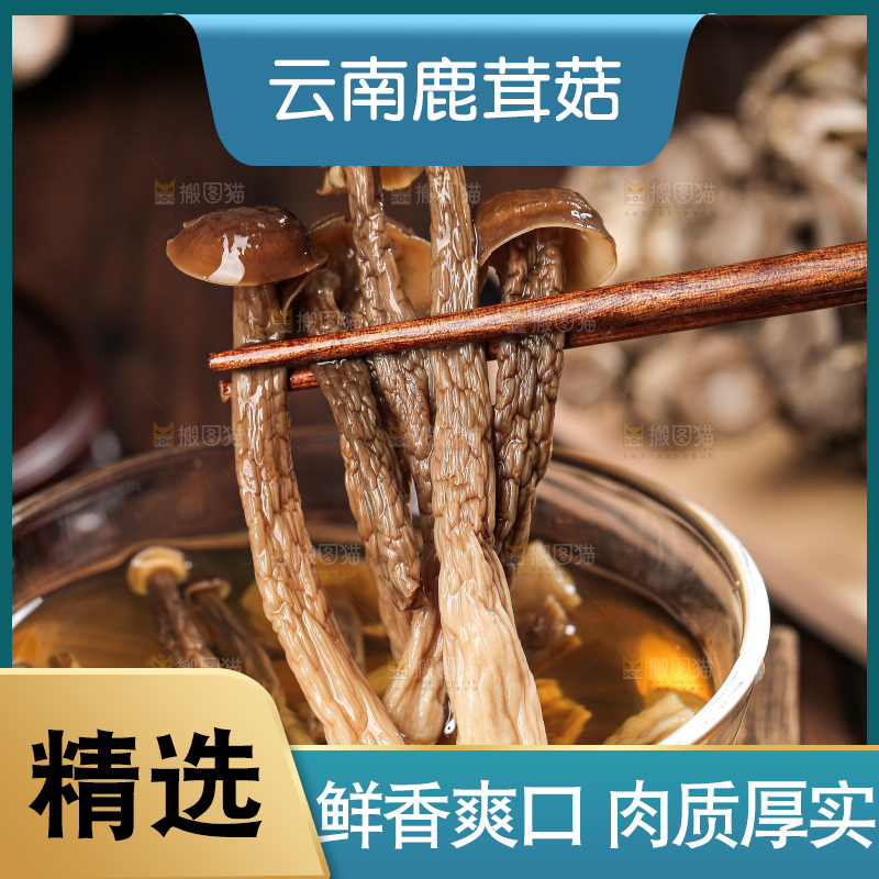 深底上的鹿茸菇