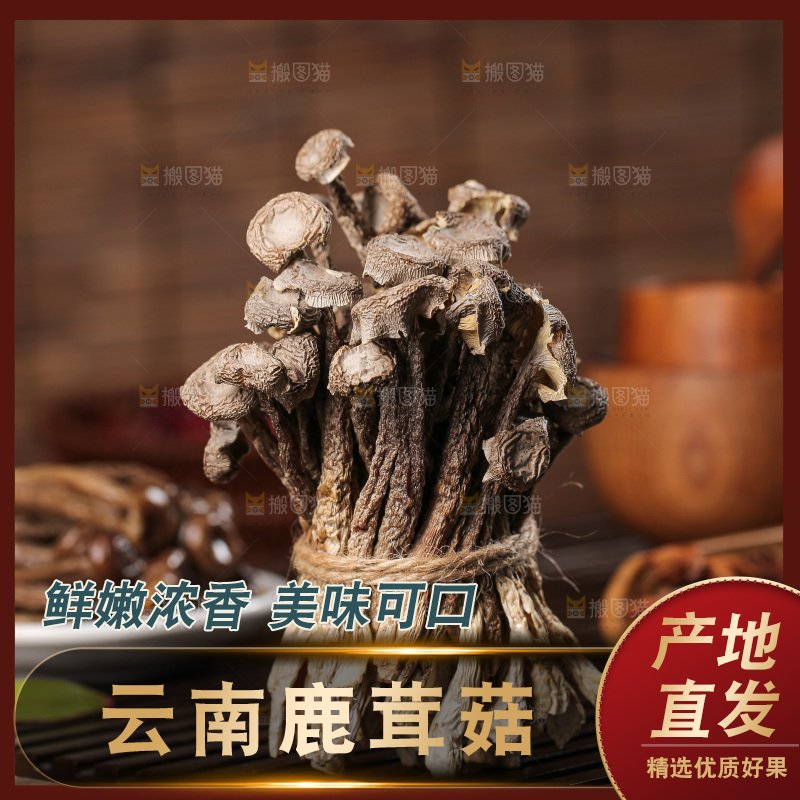 深底上的鹿茸菇
