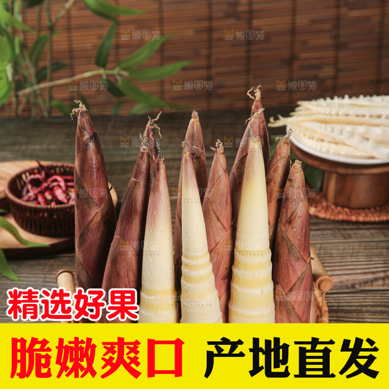 深底的雷竹笋