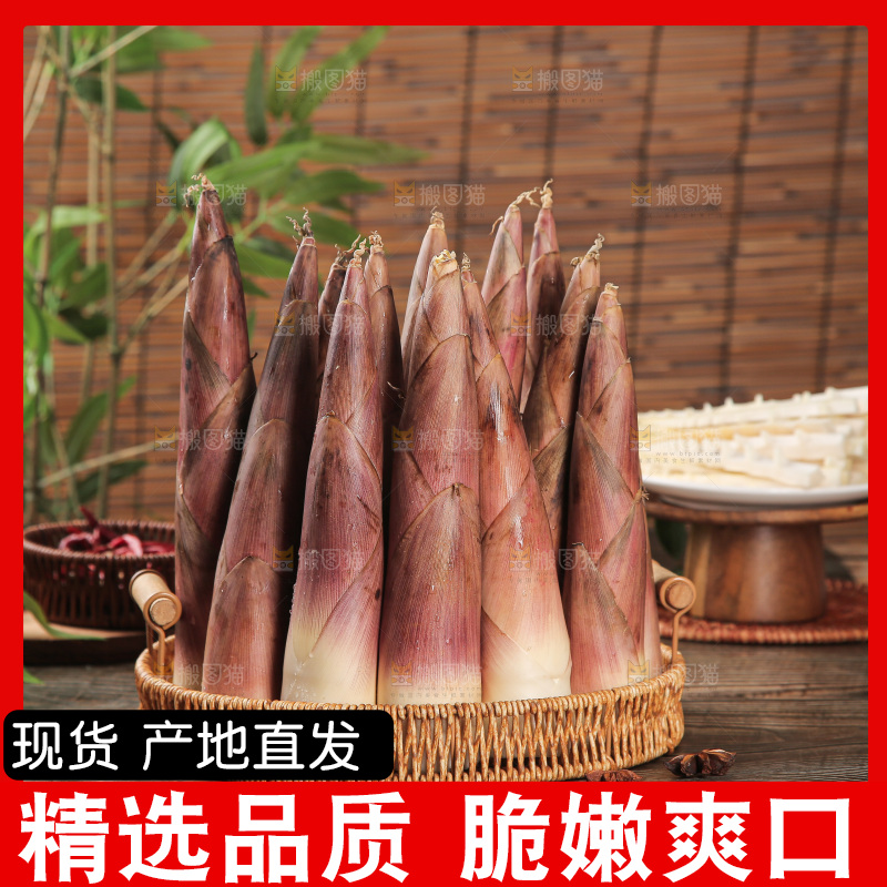 深底的雷竹笋
