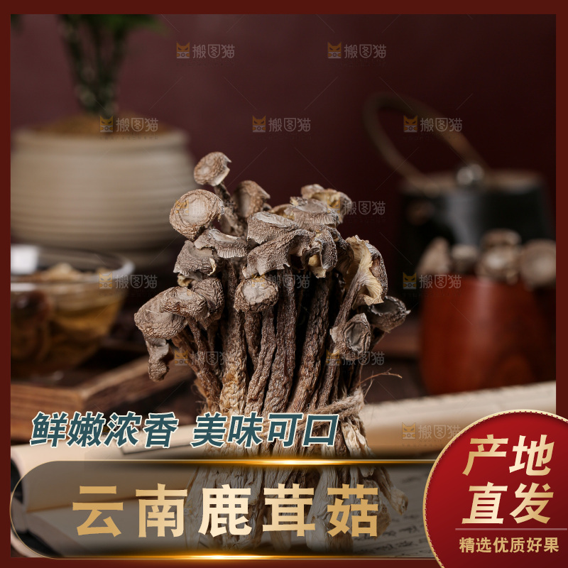 深底上的鹿茸菇