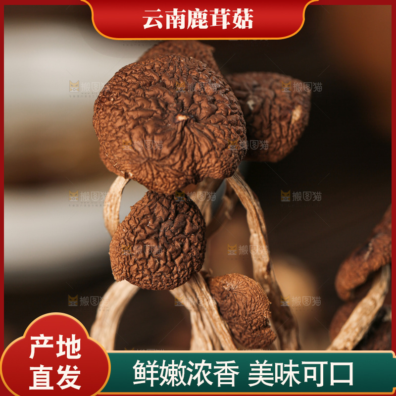 深底上的鹿茸菇