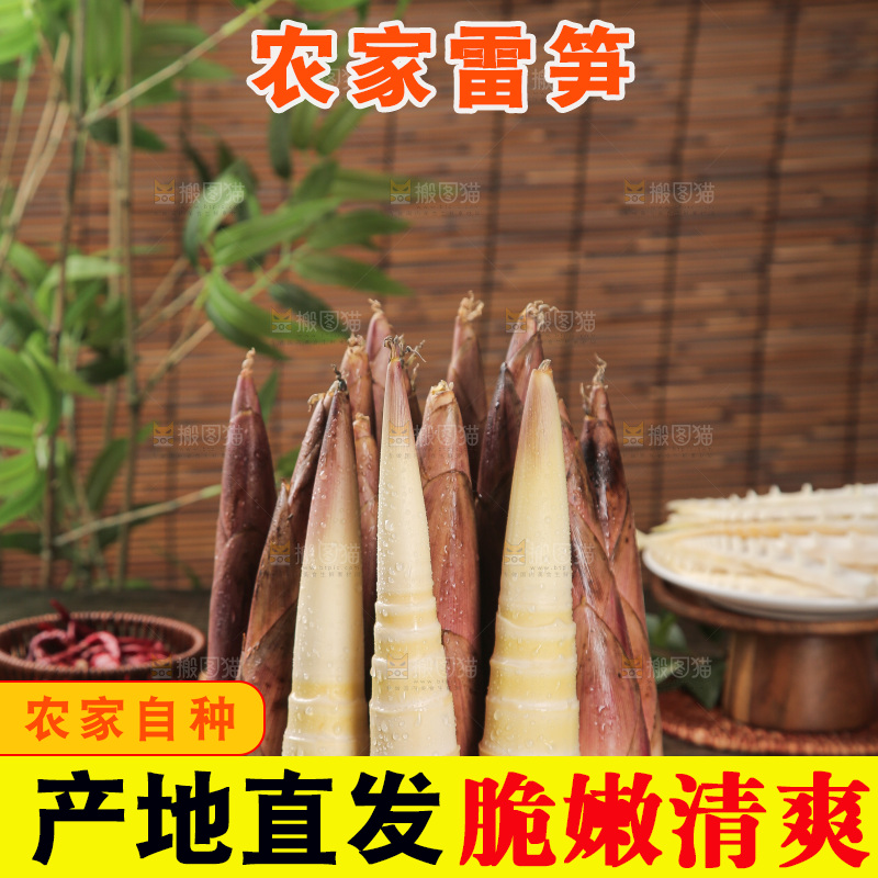 深底的雷竹笋