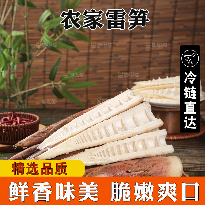 深底的雷竹笋