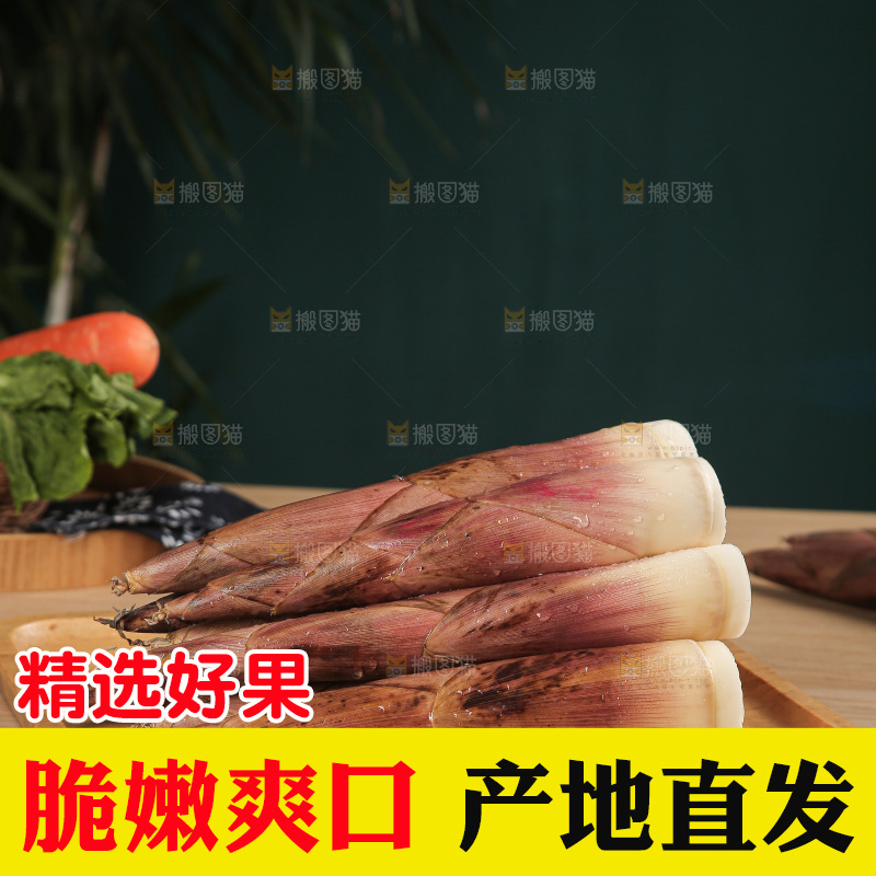 深底的雷竹笋
