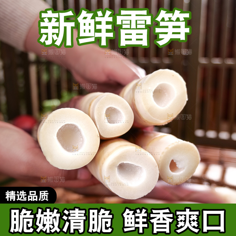 深底上的雷笋