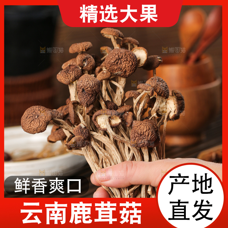 深底上的鹿茸菇