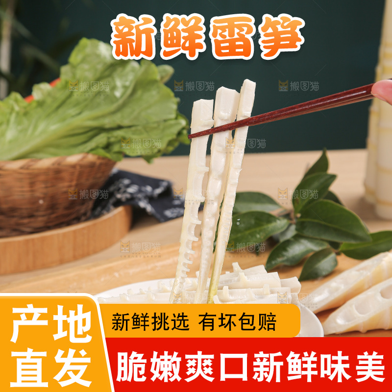 深底的雷竹笋