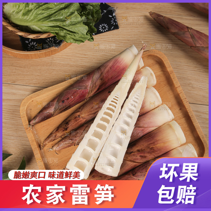 深底的雷竹笋