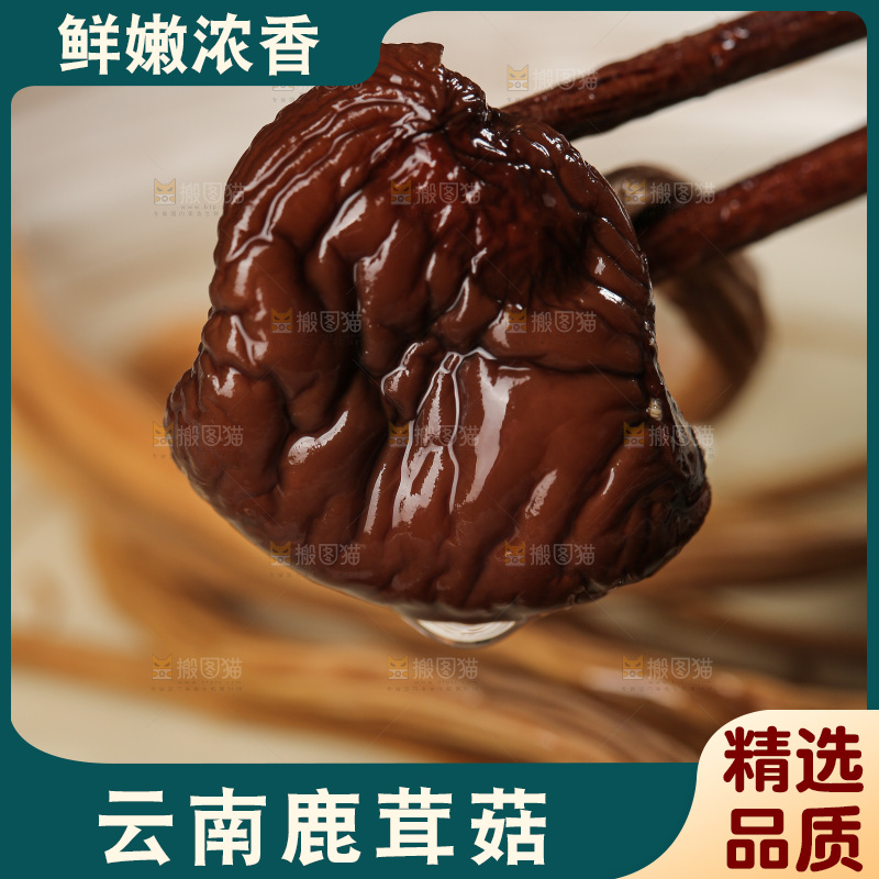 深底上的鹿茸菇