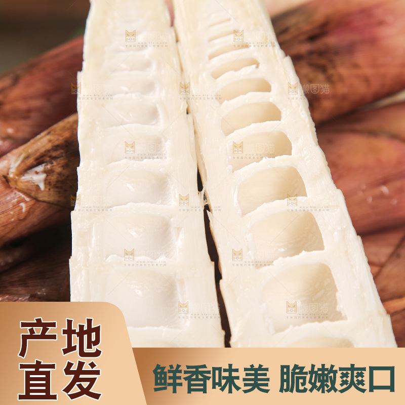 深底的雷竹笋