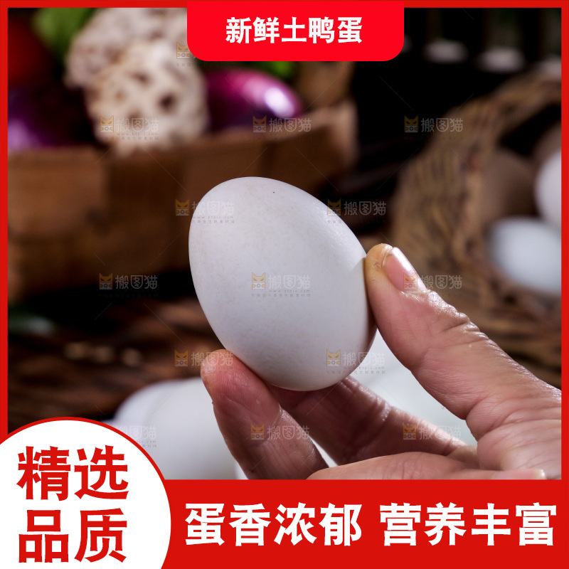 深底上的鸭蛋