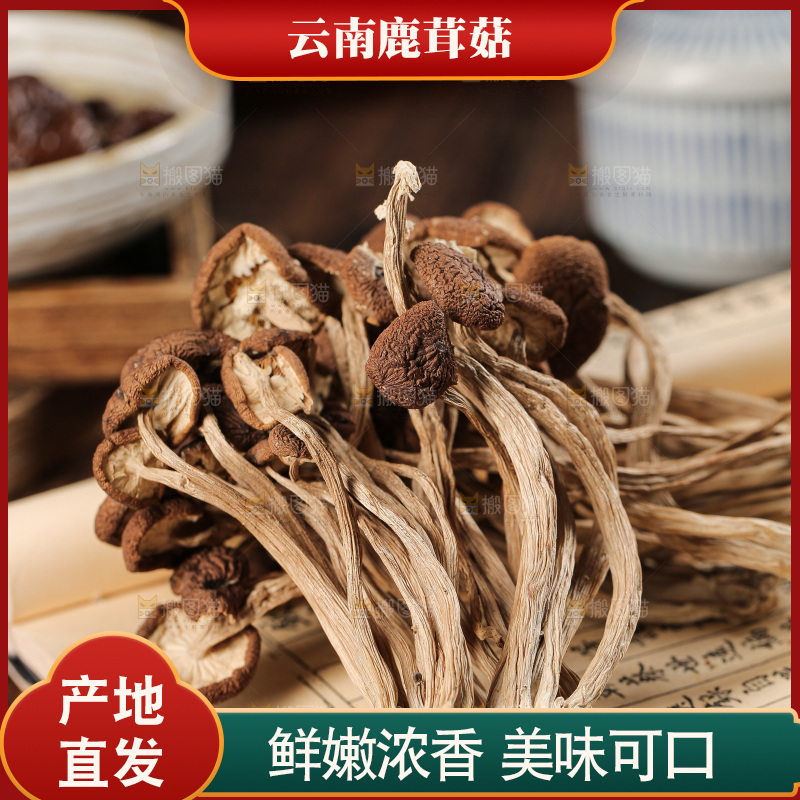 深底上的鹿茸菇