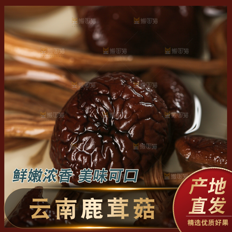 深底上的鹿茸菇