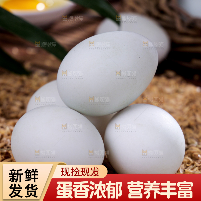 深底上的鸭蛋